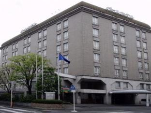 Pearl Hotel Mizonokuchi Kawasaki  Habitación foto